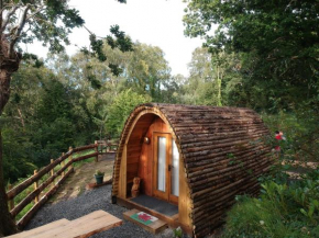 Owl Hut Cosy Ensuite Pod Snowdonia Coast Sleeps 2